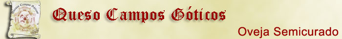 Queso Campos G&oacute;ticos